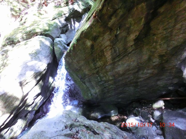 �K�C�h�N���u�ʐ^